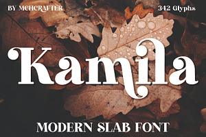 Kamila Modern Slab Serif Font