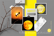 Botanical futurism illustration, an Object Graphic by Collection by VY (Thumbnail 10 of 13)