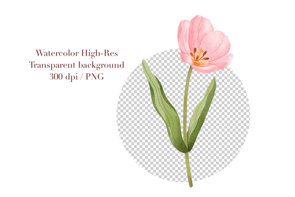 Watercolor Tulips Clipart, a Decorative Illustration by ArtGiftsStudio (Photo 6 of 6)