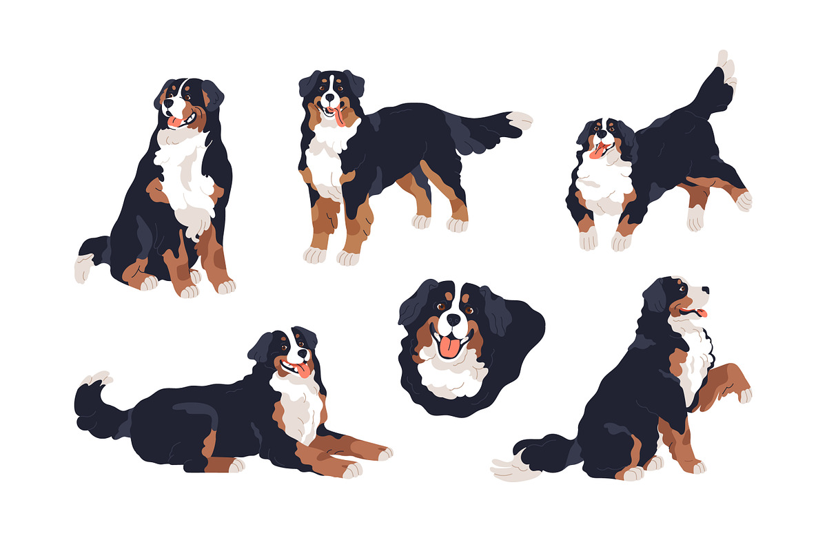 Cute bernese mountain dog set, an Animal Illustration by Good Studio (Photo 2 of 6)