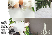 Dumb Bunny Easter Stock Photography, a Mockup by Ashley Alexandra Design (Thumbnail 7 of 10)