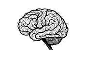 Brain Tree Knowledge Design Bundle, an Illustration by Gaye Art (Thumbnail 13 of 31)