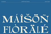 Alvinus Mix, a Serif Font by Craft Supply Co. (Thumbnail 7 of 8)