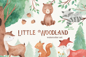 Woodland Animals Watercolor Clipart