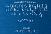 Astronaut, a Handwritten Font by FreshTypeINK (Thumbnail 3 of 8)
