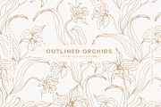 Outlined Orchids, a Decorative Illustration by MalyskaStudio (Thumbnail 1 of 11)