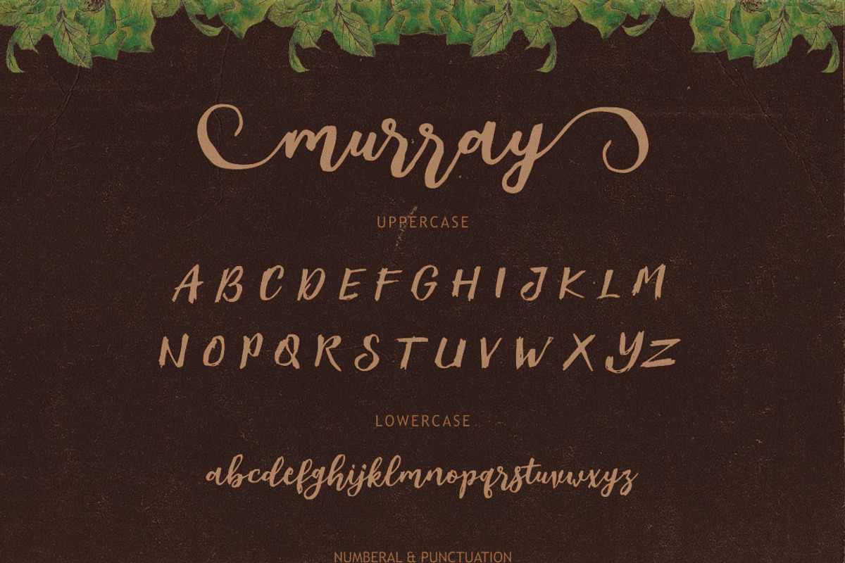 Murray Script Font Duo preview 7
