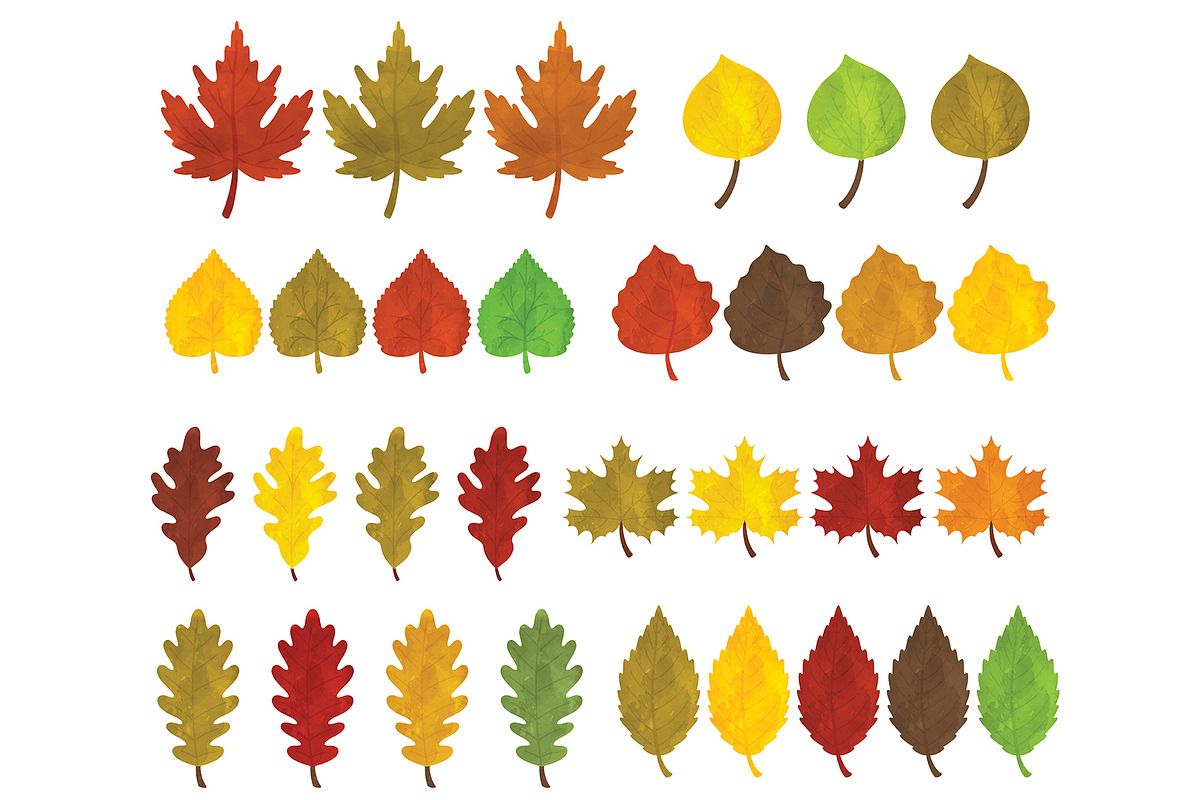 Fall Leaves Clipart, an Illustration by SugarPickle Clip Art (Photo 3 of 3)