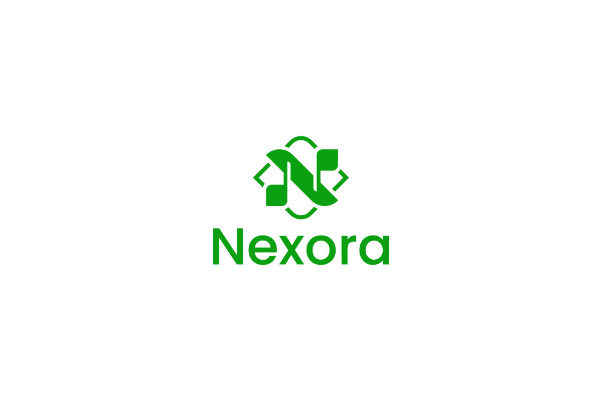 Modern Letter N Logo Design preview 6