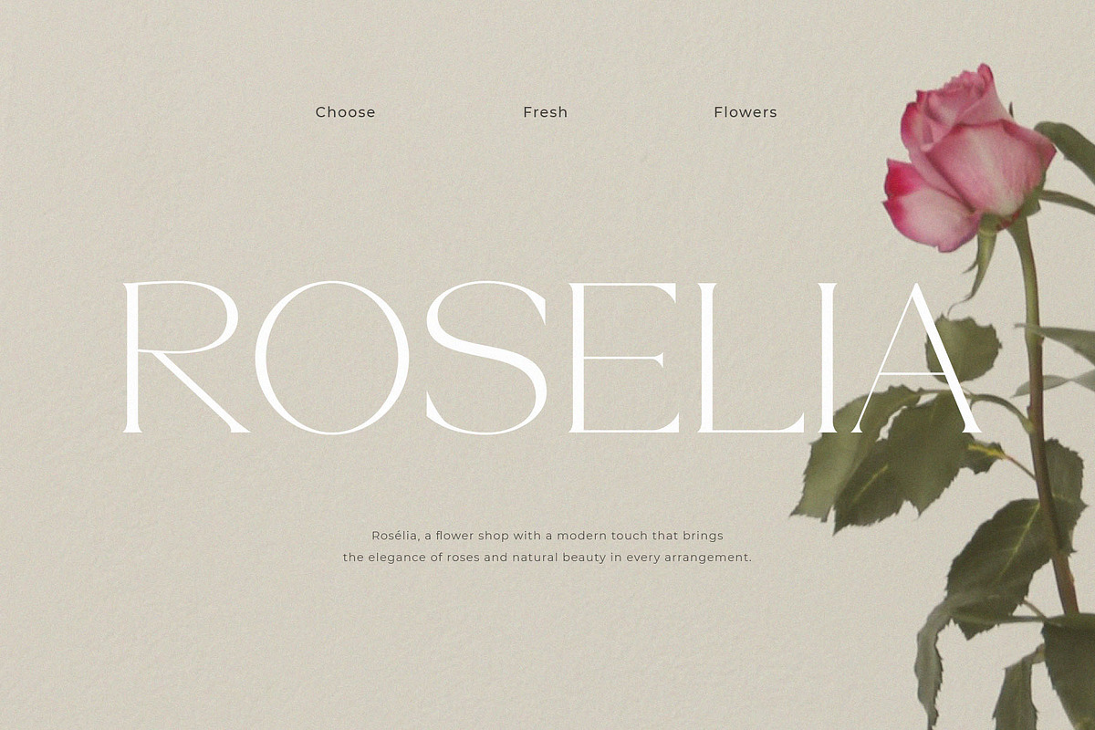 BHYORA | Modern Serif Font, a Serif Font by ToniStudio (Photo 4 of 10)