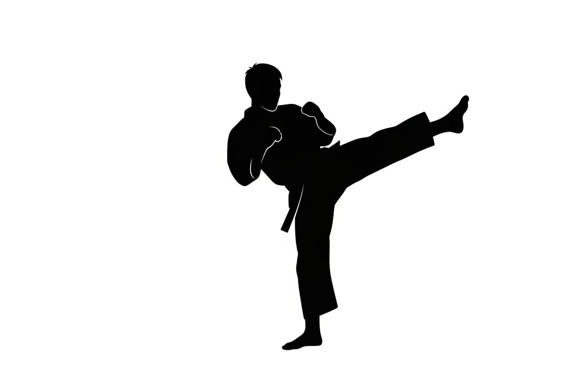Dynamic martial arts kick silhouette, a Graphic by Amazin_art (Photo 14 of 36)
