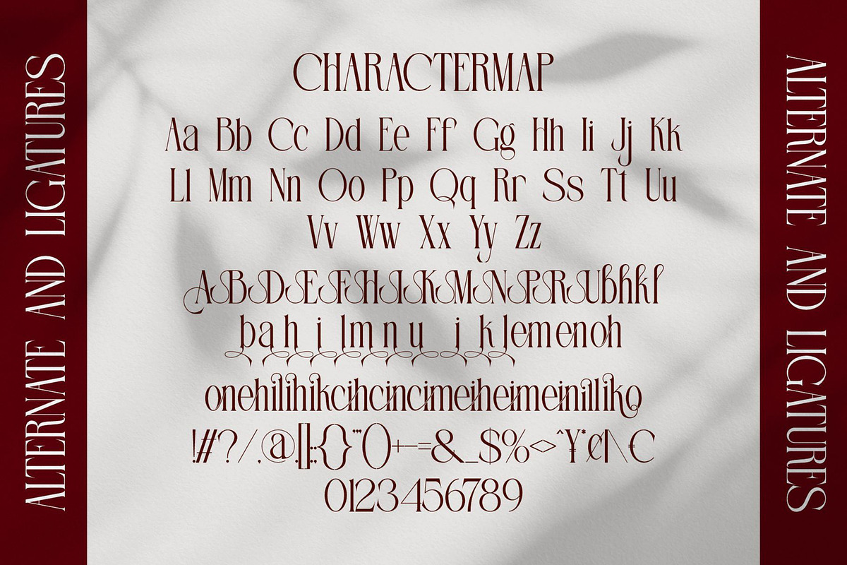 Filion || Elegant Classy Serif Font, a Serif Font by Ermedia Studio (Photo 10 of 10)