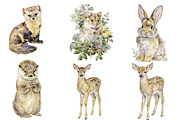 Watercolor Woodland Animals clipart, an Illustration by Designworld (Thumbnail 3 of 5)