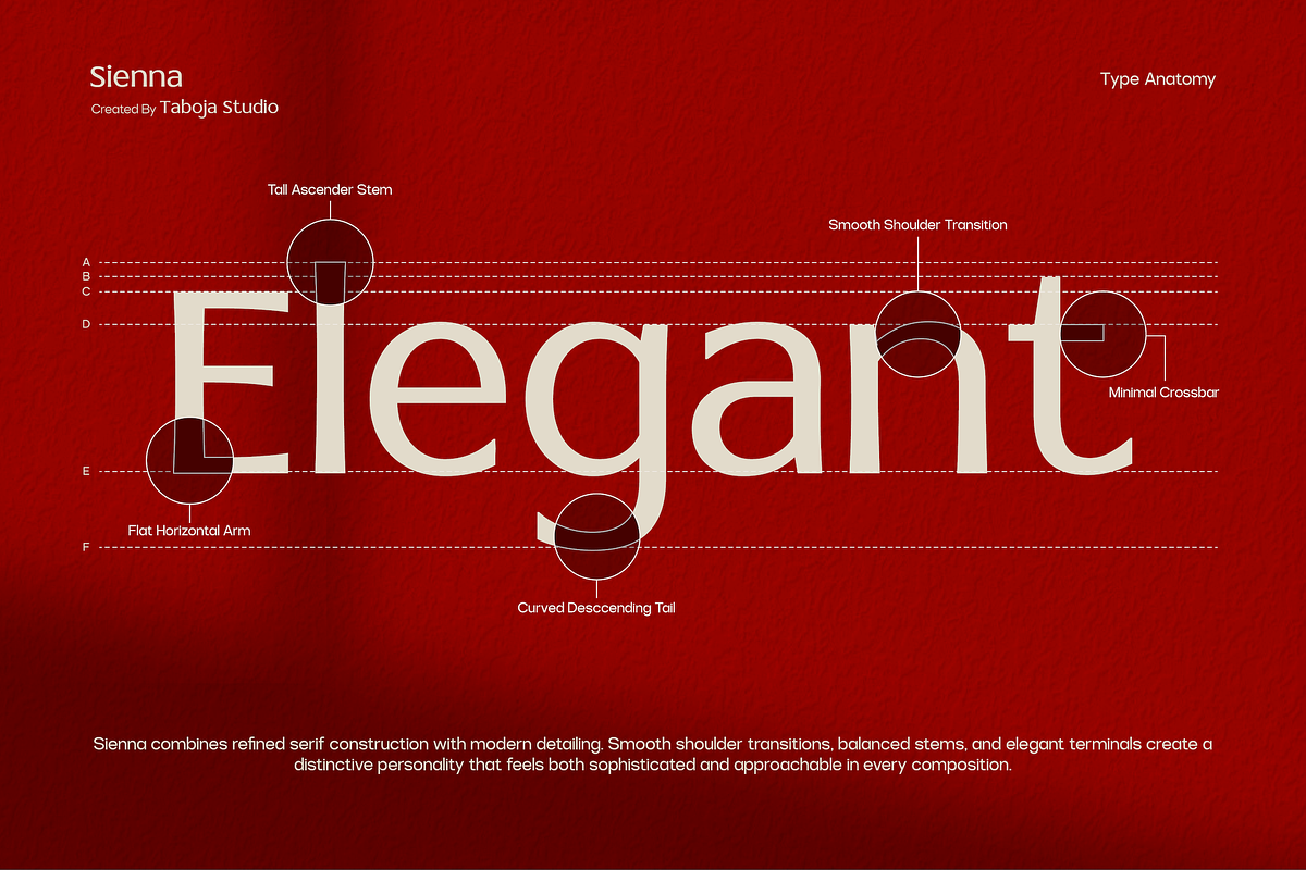 TBJ Sienna Elegant Serif Font Family, a Serif Font by Taboja Studio (Photo 4 of 15)