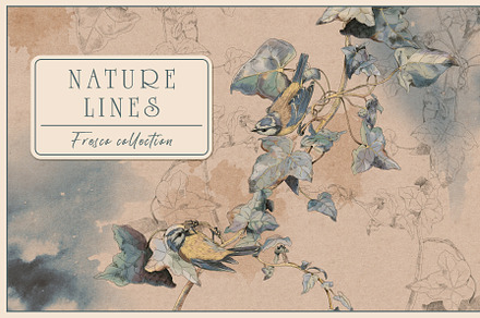 Fresco collection Nature lines, a Wallpaper Graphic by Natalia0307