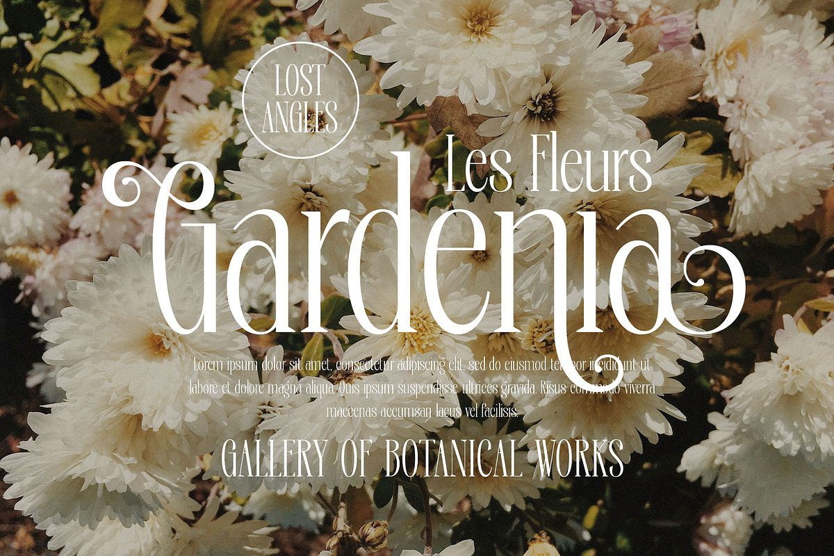 Deronia Beauty Branding Serif Font, a Serif Font by RantautypeStudio (Photo 9 of 17)