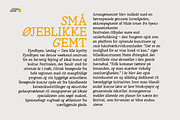 Golden Goose – Italic Infused Serif, a Serif Font by Unio Designs (Thumbnail 5 of 12)