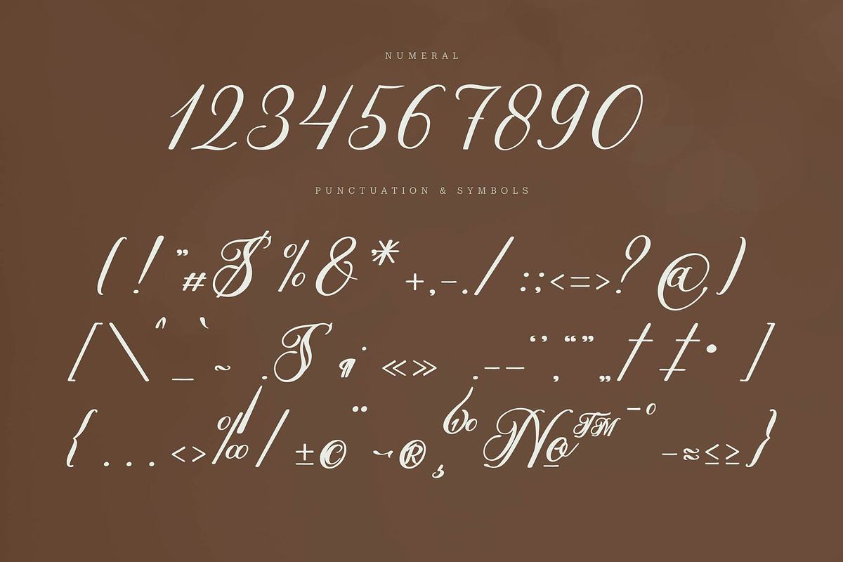 Olydemi | Beauty Script, a Script Font by Denustudios (Photo 11 of 13)