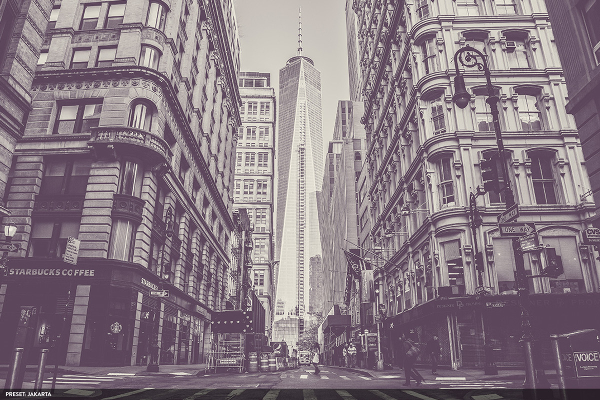 50 Monochromatic Presets for Ps - Lr, a Preset Add-On by ShinyPixel (Photo 15 of 17)