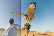 Emirates - Premium Lightroom Presets, an Action Add-On by PhotoMarket (Thumbnail 4 of 65)