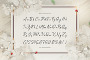 Simsalty Barthilon Elegant Signature, a Script Font by Denustudios (Thumbnail 10 of 12)