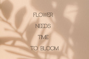 Provender, a Handwritten Font by Aditastudios (Thumbnail 5 of 6)