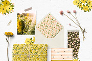 Flower Field pattern & clipart, a Background Graphic by Cozy pattern shop (Thumbnail 2 of 7)