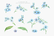 Forget Me Not Watercolor Clipart, an Illustration by Daryartsy (Thumbnail 7 of 8)