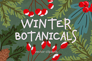 25 Winter Botanicals Cliparts, a Seasonal Illustration by Panna Limon Store (Thumbnail 1 of 6)