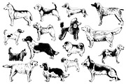 Dog breeds - sketches & lettering, an Animal Illustration by handsketched (Thumbnail 7 of 10)