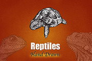 REPTILES - Hand Drawn, an Illustration by BusOne (Thumbnail 2 of 2)