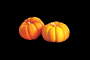 2 Pumpkins, side-view, a Food & Drink Photo by Professional Assets (Thumbnail 3 of 3)