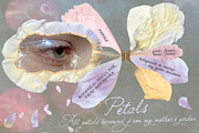 Petals Garden Collage Kit, an Object Graphic by Purple (Thumbnail 1 of 15)