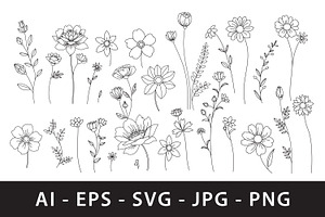 Elegant floral line art, a Decorative Illustration by Saba Vector