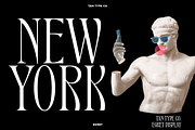 TAN - EGRET, a Serif Font by TanType (Thumbnail 13 of 19)