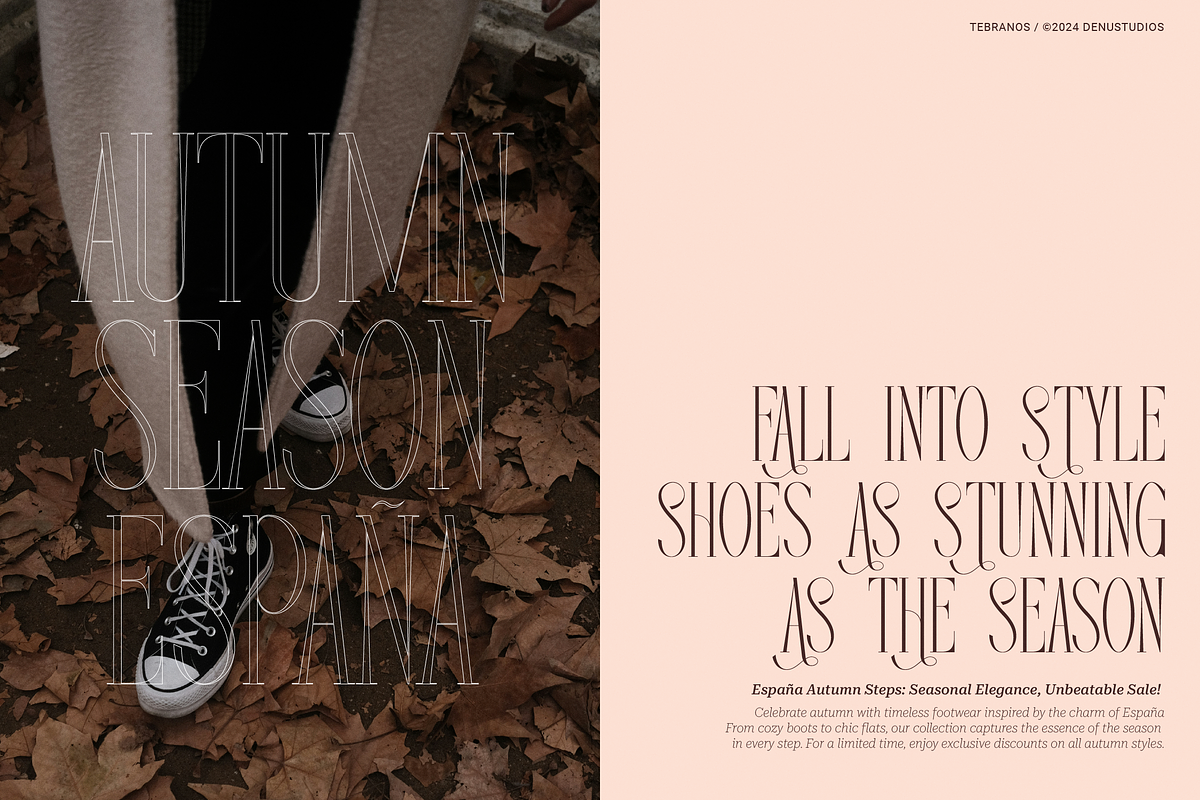 Tebranos | Modern Display Serif, a Serif Font by Denustudios (Photo 6 of 13)