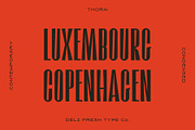 Thorn: A Contemporary Condensed Font, a Sans Serif Font by DeliFreshTypeCo. (Thumbnail 3 of 4)