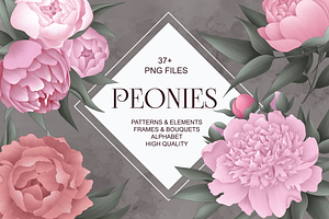 Peony Collection