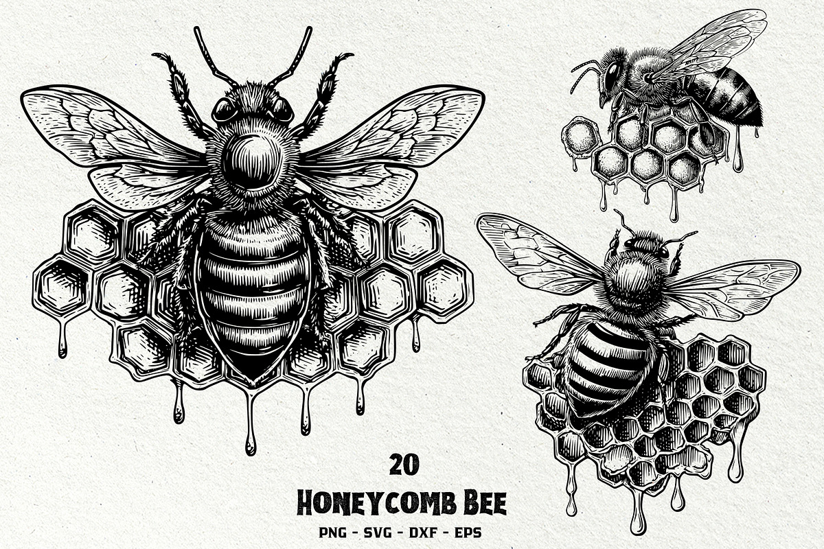 Honeycomb Bee SVG Graphics, a Decorative Illustration by DENIDigitalArtSudio (Photo 1 of 6)
