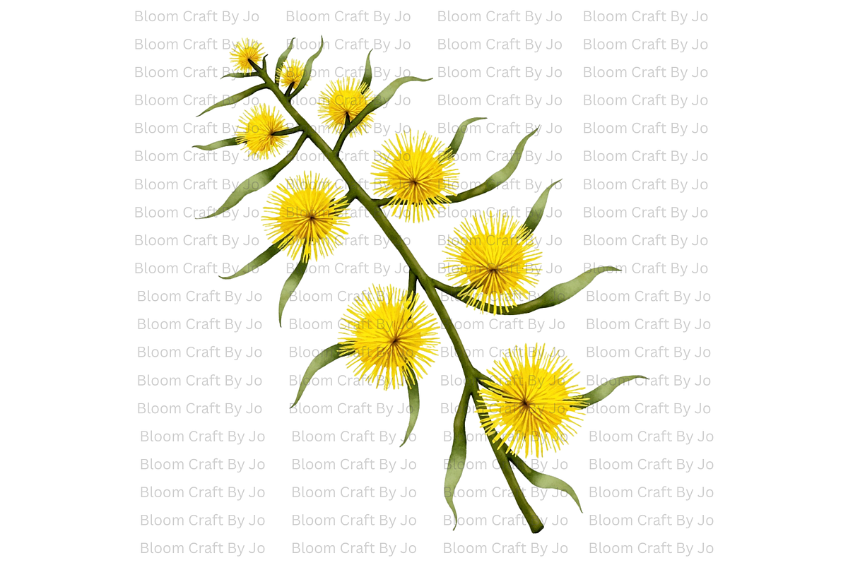 Australian Wildflower- Golden Wattle, a Decorative Illustration by Bloom Craft Creations (Photo 2 of 10)