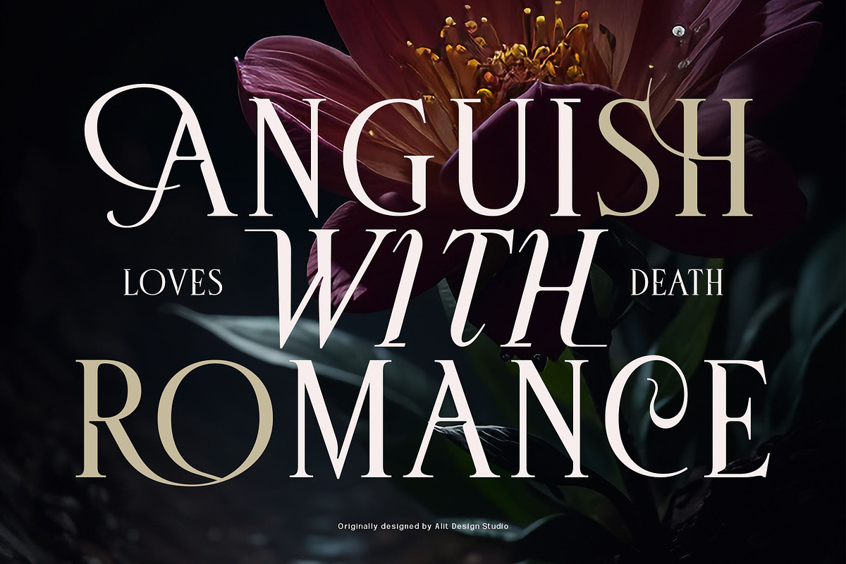 Deloca Moreys Typeface, a Serif Font by alit design (Photo 3 of 20)