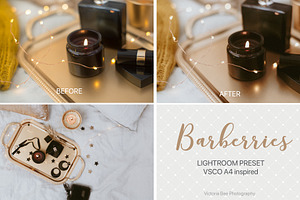 Desktop Lightroom Presets BARBERRY