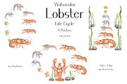 Watercolor Lobster Life Cycle, an Education Illustration by MayaNavits (Thumbnail 3 of 7)