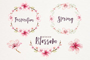 Blossom. Spring spirit, a Decorative Illustration by Peace ART (Thumbnail 6 of 7)