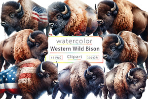 Wild Bison Watercolor Western PNG