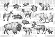 Animals of North and South America., an Object Graphic by MarinaVorontsova (Thumbnail 3 of 5)