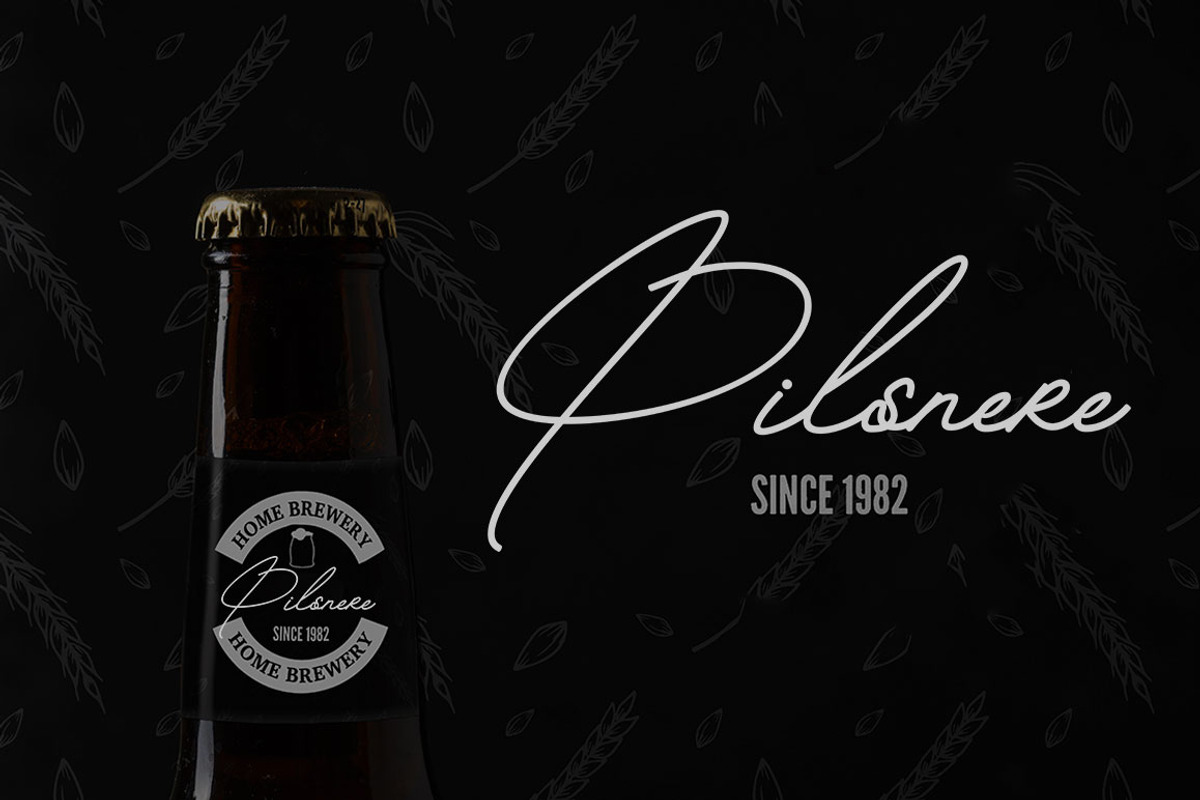 Betriciya Signature, a Script Font by GloowStudio (Photo 8 of 11)