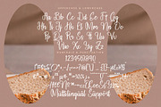 Nostalgic Frames Handwritten Script, a Script Font by stylishtype.co (Thumbnail 18 of 20)
