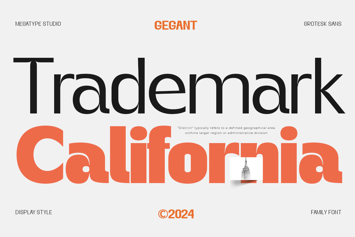 Gegant Font, a Sans Serif Font by Megatype (Photo 4 of 15)