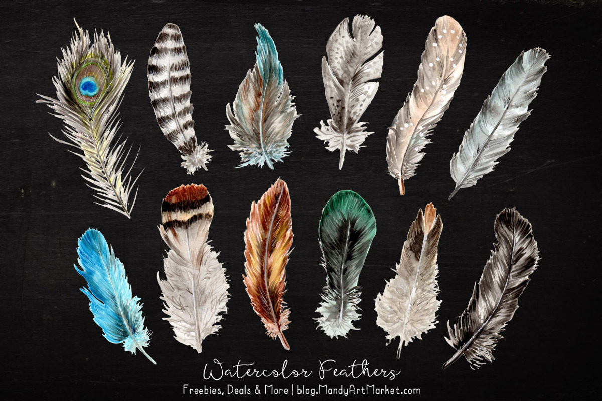 Natural Watercolor Feathers, an Illustration by Amanda Ilkov (Photo 2 of 3)